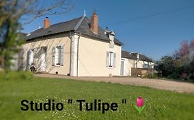 studio 